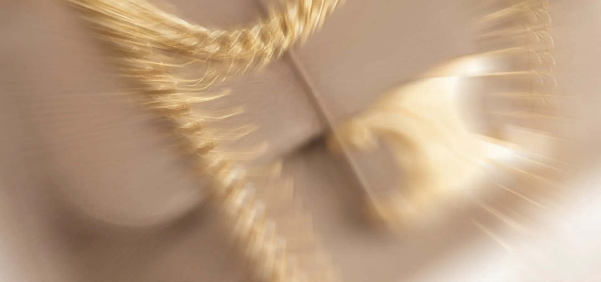 Close-up Celine handbag detail featured in portfolio hero banner image
